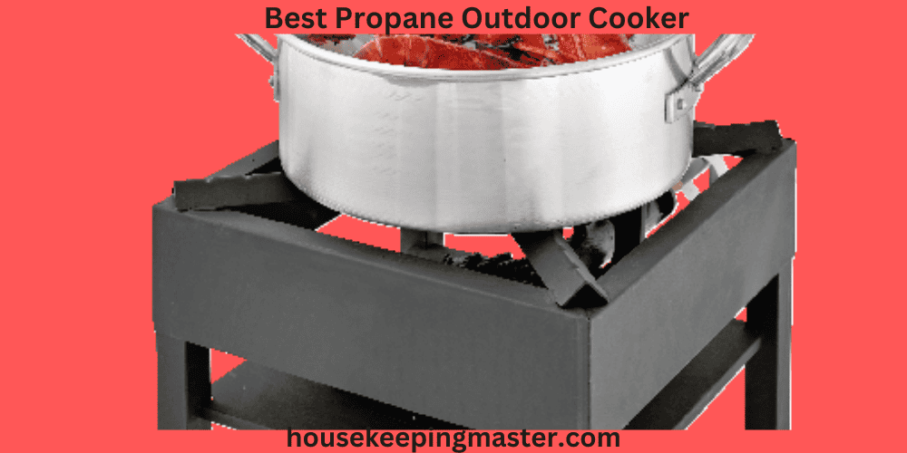 Best-Propane-Outdoor-Cooker