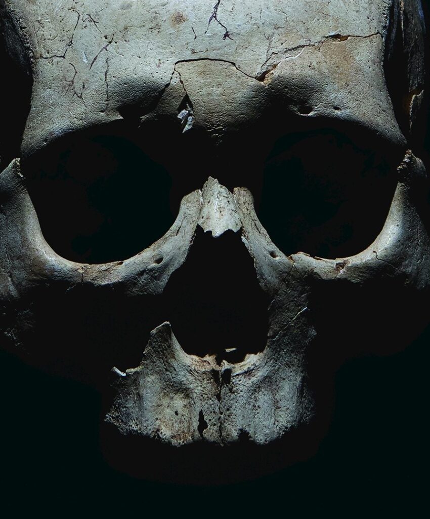 What is the Lifespan of Ceramic Cookware? Unveiling the Truth