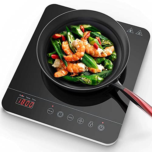 10 Best Induction Cooktops For Fast Cooking In 2024 housekeepingmaster
