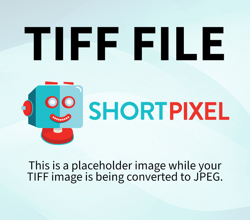 Calphalon Ceramic Cookware Review