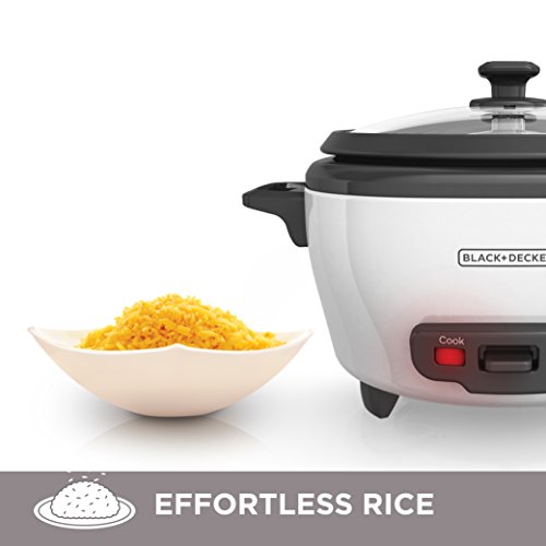 Best Rice Cooker Amazon