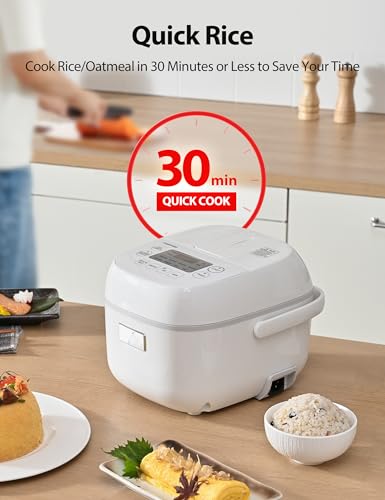 Toshiba Mini Rice Cooker Review: Compact Rice Cooker Guide