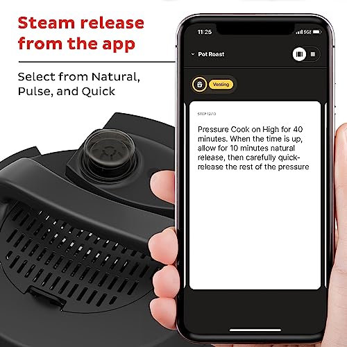 Instant Pot Pro Plus Wi-Fi Smart 10-in-1 Review