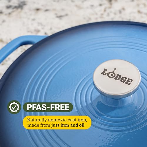 Cast Iron Cookware Lifecycle Review: Longevity Tips