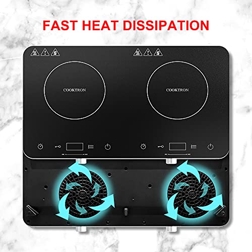 Double Induction Cooktop Burner Review