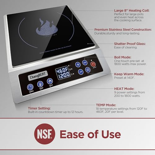 Best Induction Cooktop Quiet