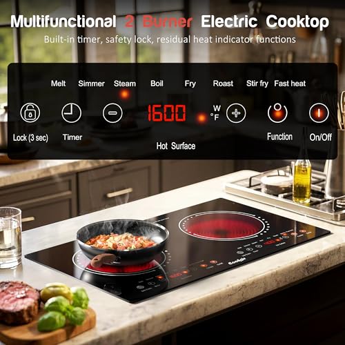 2 Burner Electric Cooktop Review: Best Picks & Buyer Guide