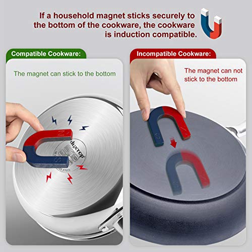 Duxtop 1800W Portable Induction Cooktop Review