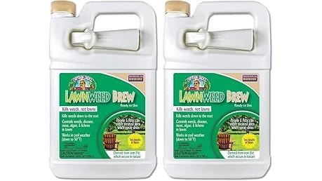 Best 10 Home Brew Weed Killer