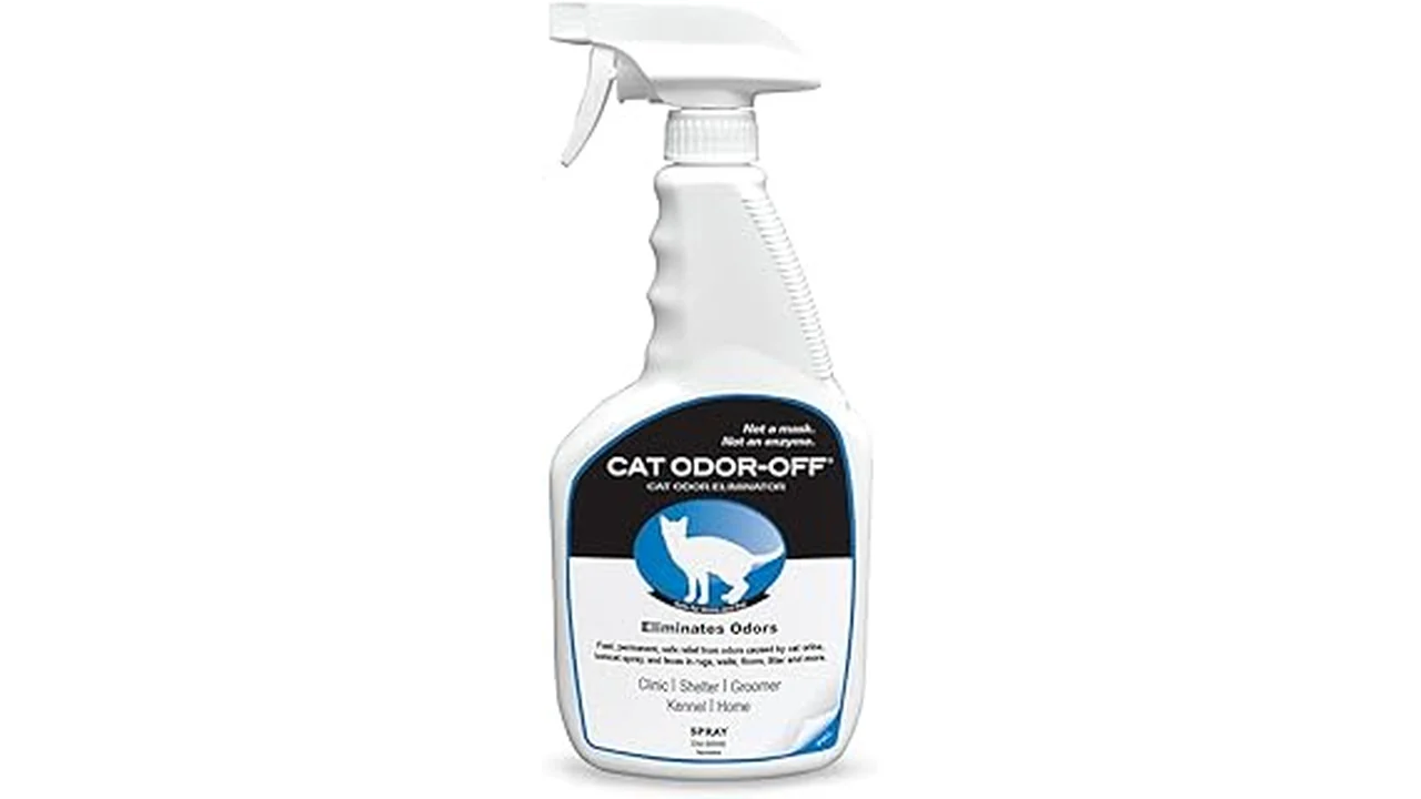 Best 31 Cleaner Cat Urine