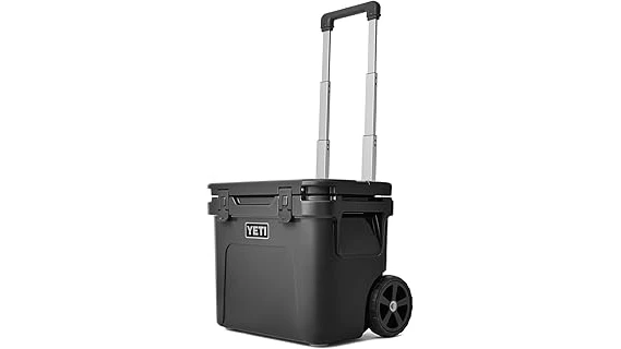 Best 31 Cooler Brands