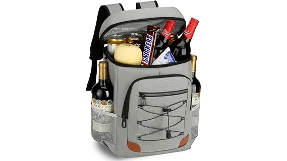 Best 31 Cooler for the Money