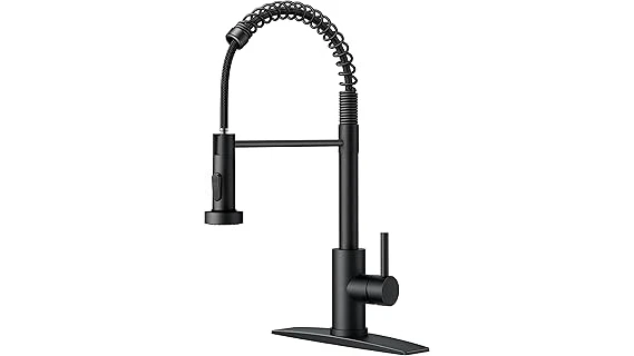 Best 31 Kitchen Faucets