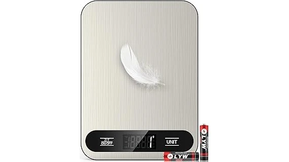 Best 31 Kitchen Scale