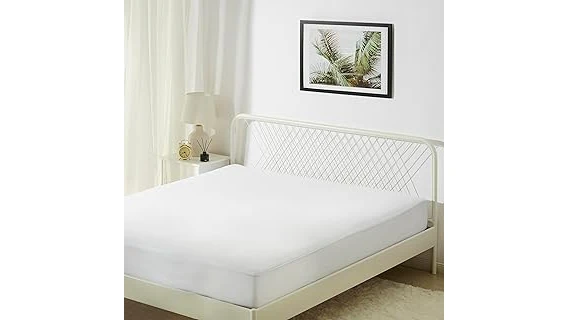 Best 31 Mattress Encasement for Bed Bugs