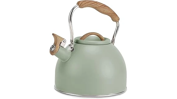 Best 31 Stove Kettle