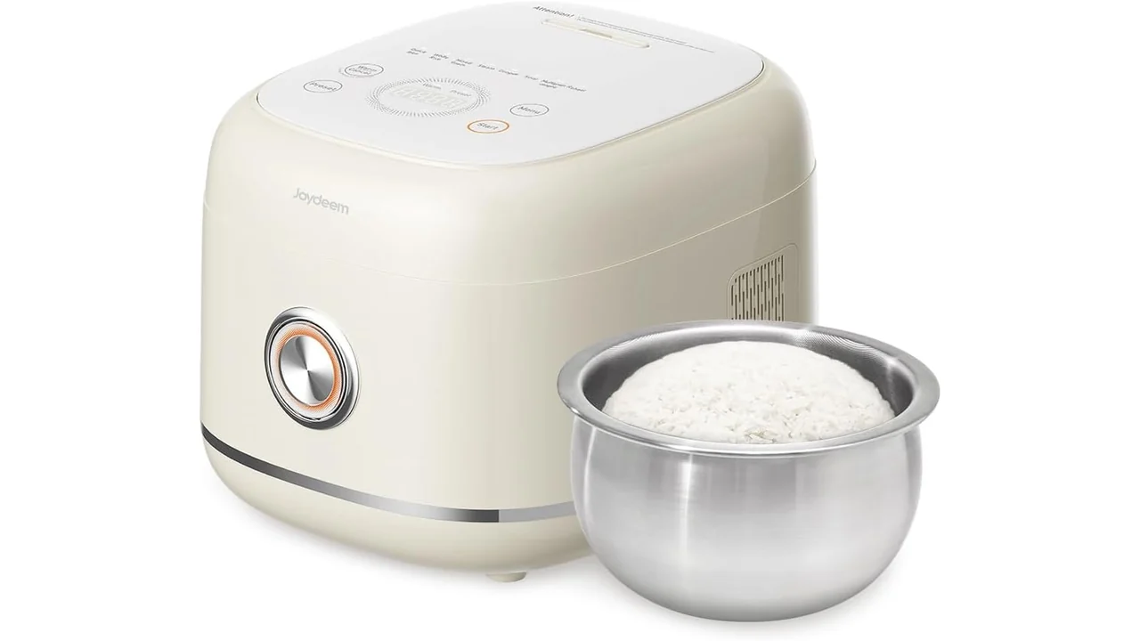 Joydeem Rice Cooker: Complete Review