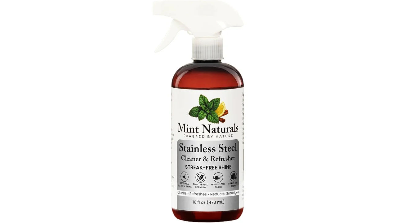 Natural Stainless Steel Cleaner – Honest Review