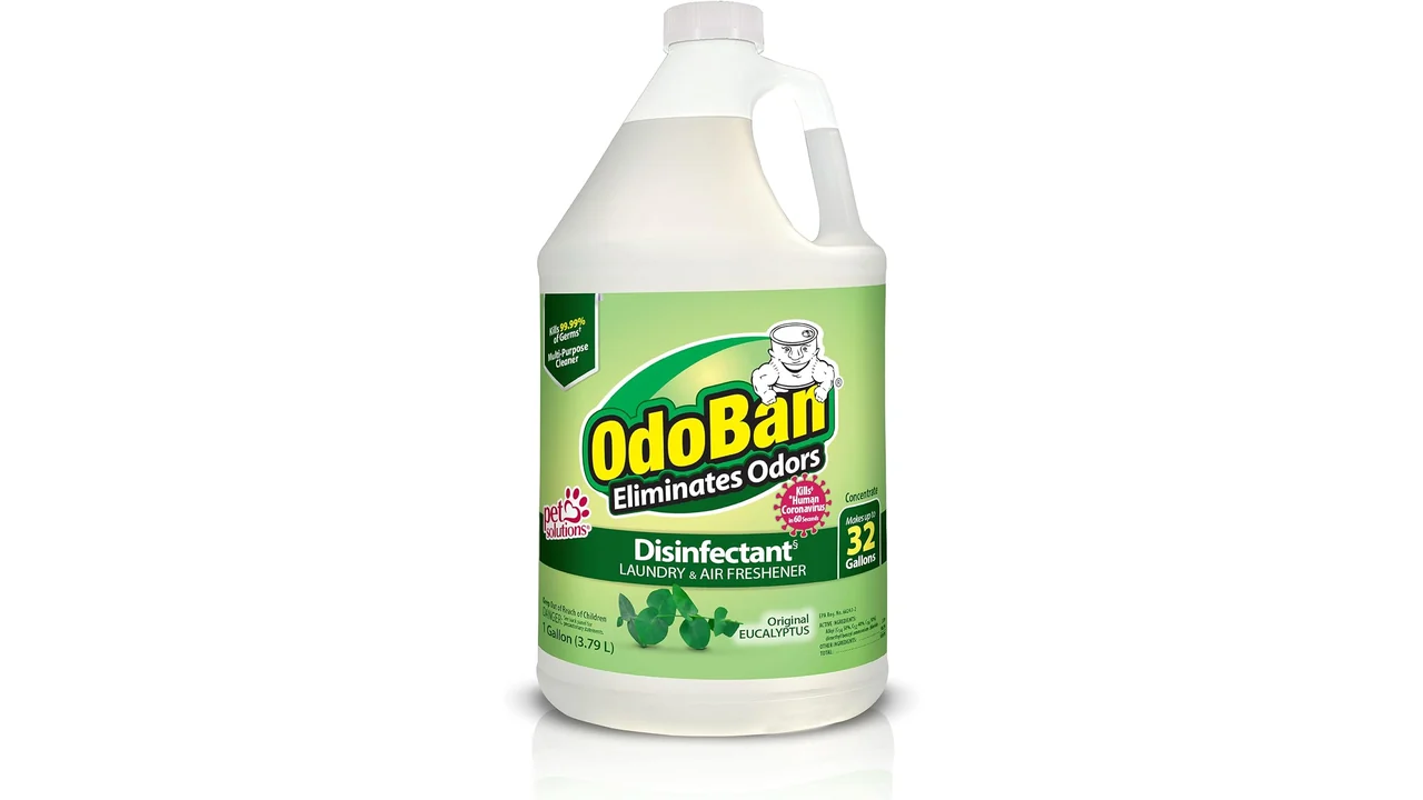 OdoBan Disinfectant Concentrate Odor Eliminator – Honest