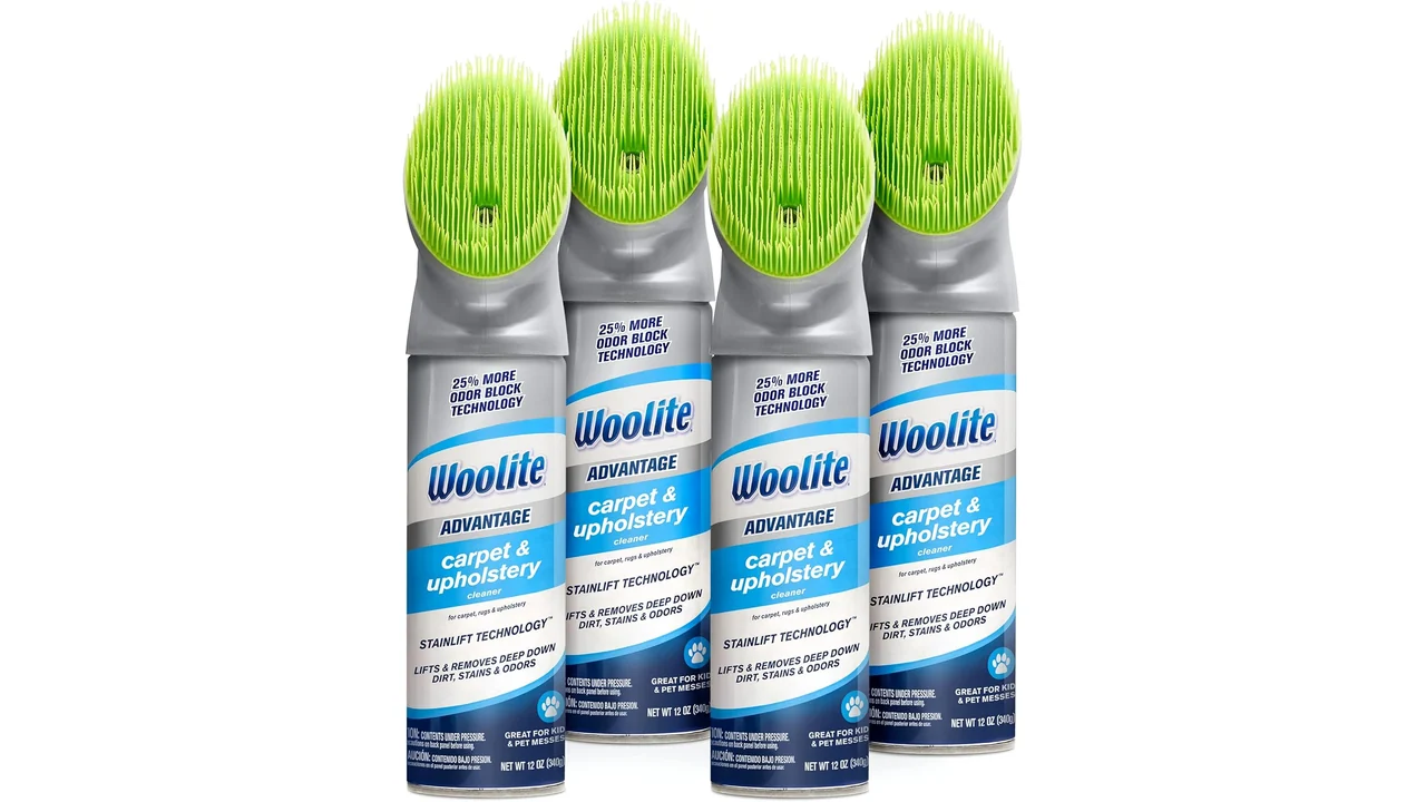 BISSELL® Woolite® Advantage Cleaner 4 – Honest Review