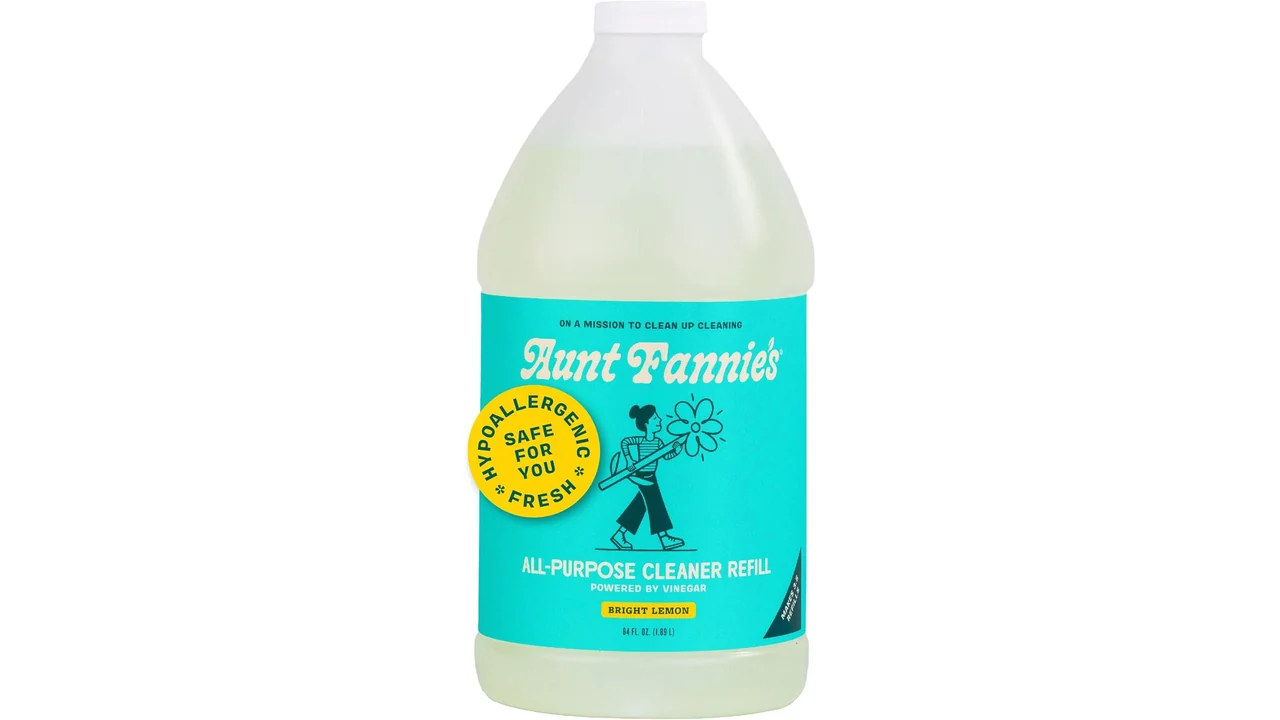 Aunt Fannie’s Cleaner – Detailed Review