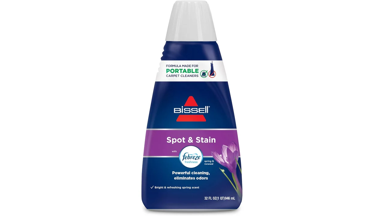 Bissell Spot & Stain: Honest Review