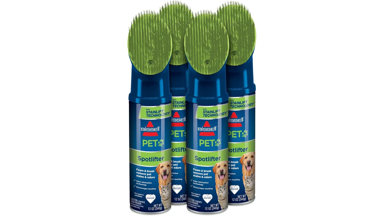 BISSELL Spotlifter Pet Brush Head – In-Depth Review