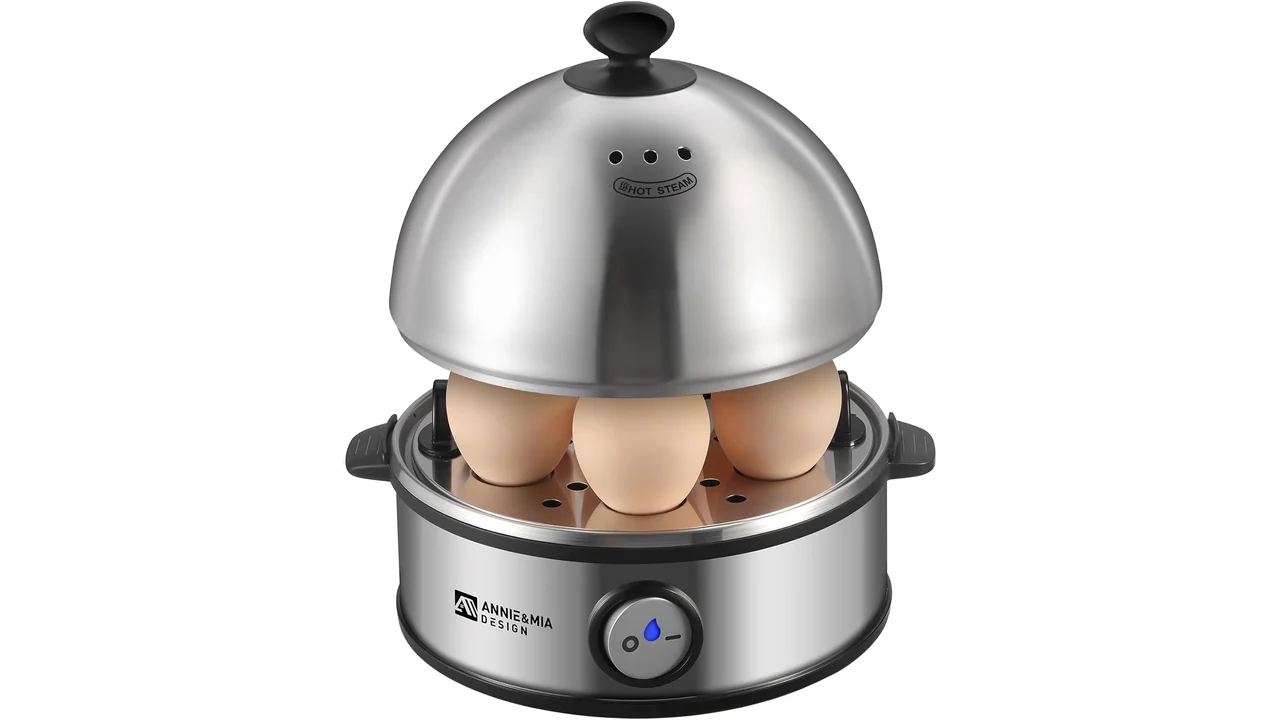 Annie & Mia Electric Egg Cooker – In-Depth Review