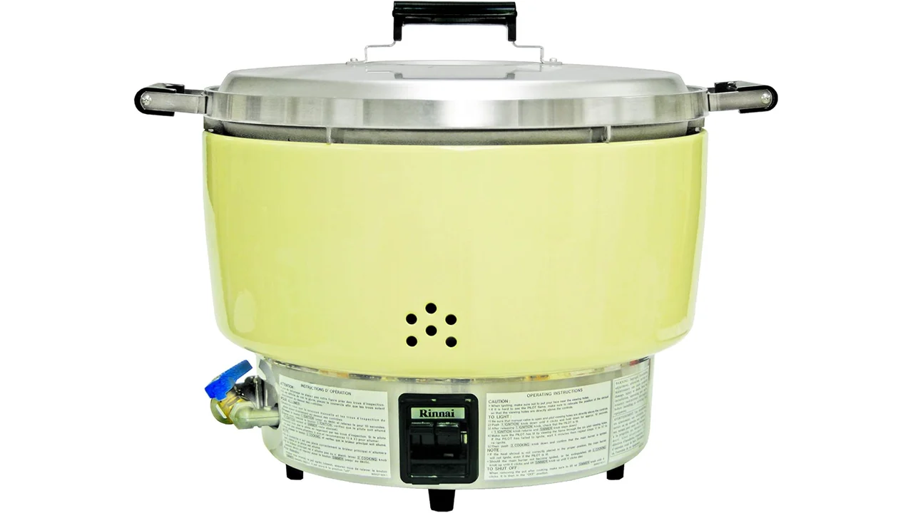 Rinnai 55 cups/ 110 bowls cooked rice – Honest Review