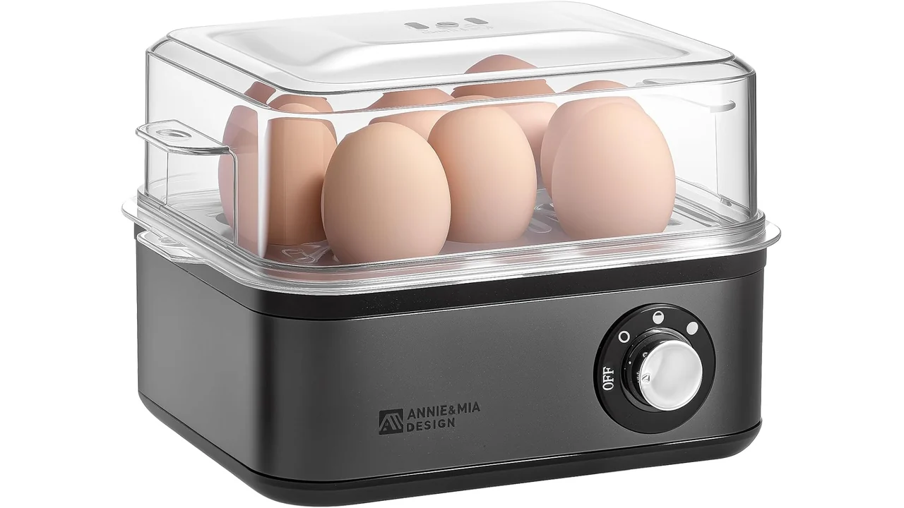Annie & Mia Design Stainless Steel Electric Rapid – Expert