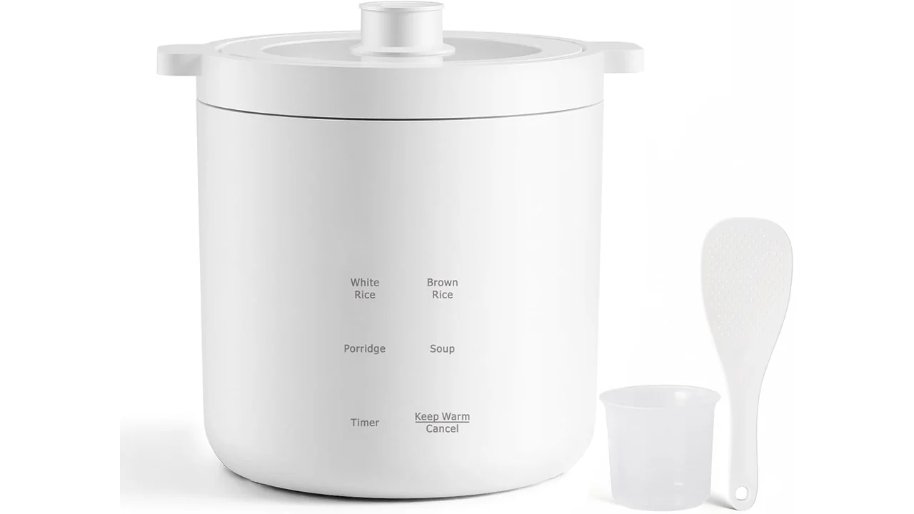 olayks Rice Cooker 2 Cup Uncooked, Mini – In-Depth Review
