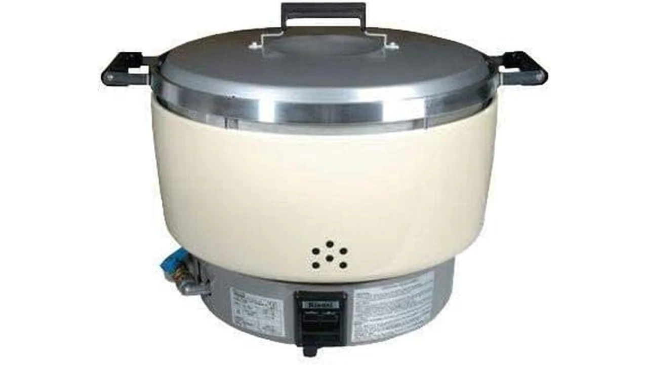 Rinnai 55 Cups Natural Gas Rice Cooker – In-Depth Review
