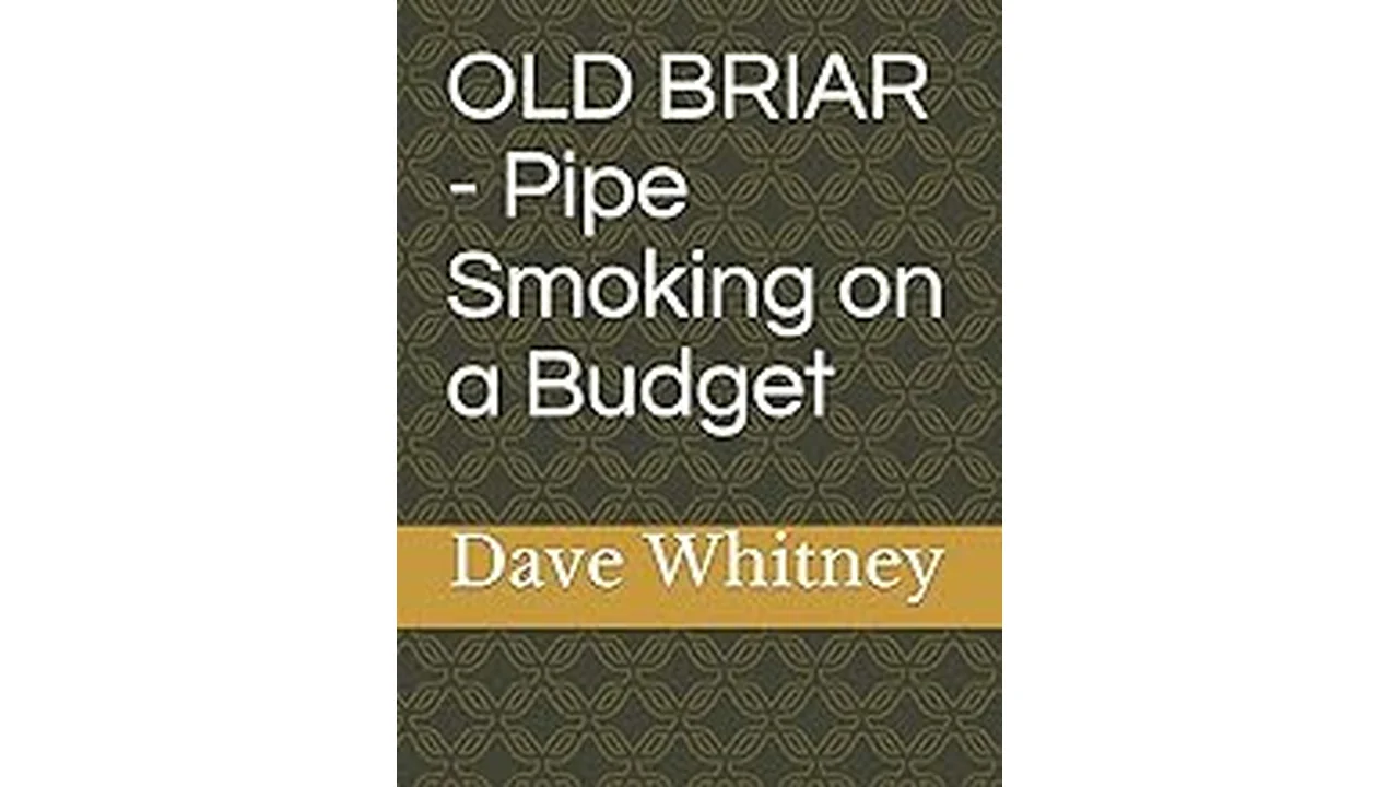 Best 16 Smokers on a Budget