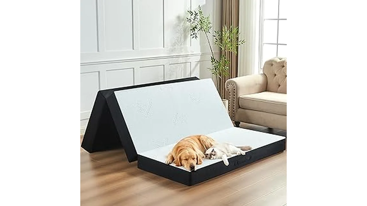 Best 19 Mattress Reviews