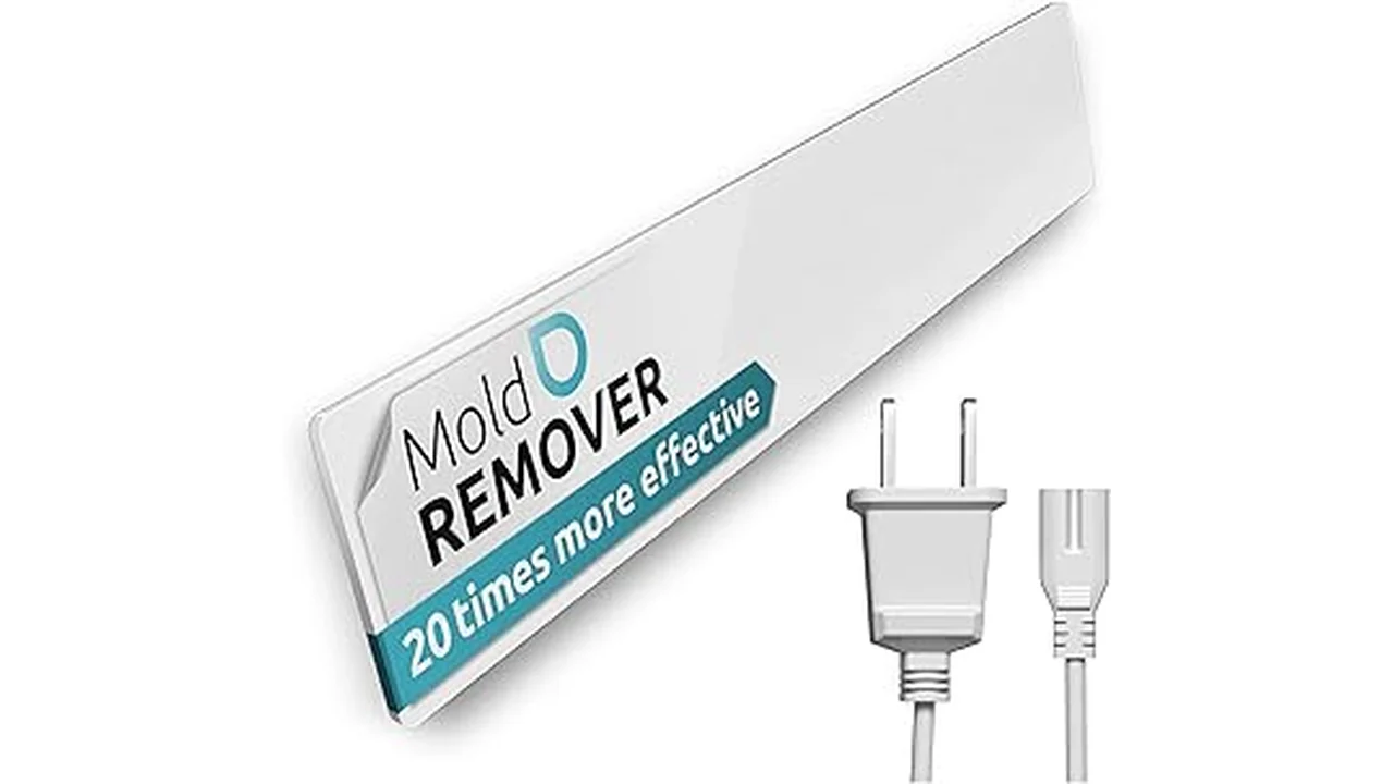Best 31 Cleaner to Kill Mold
