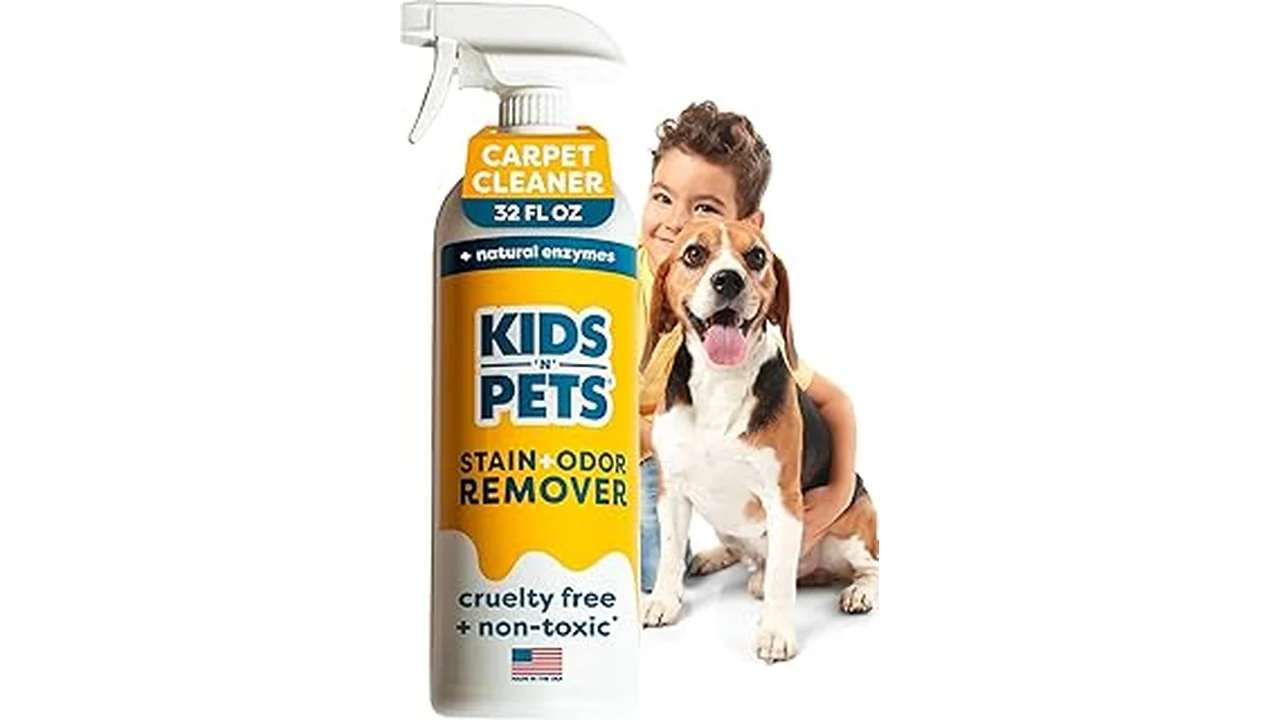 Best 31 Cleaner to Remove Cat Urine Smel