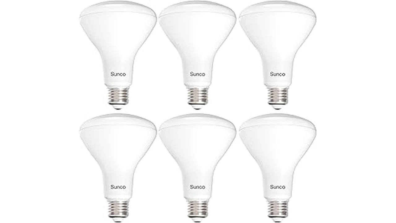 Best 31 Kitchen Light Bulbs