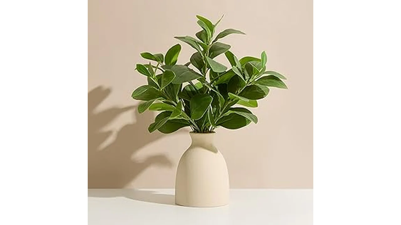 The image shows vibrant green kitchen plants arranged attractively, showcasing the best 31 kitchen plant options.