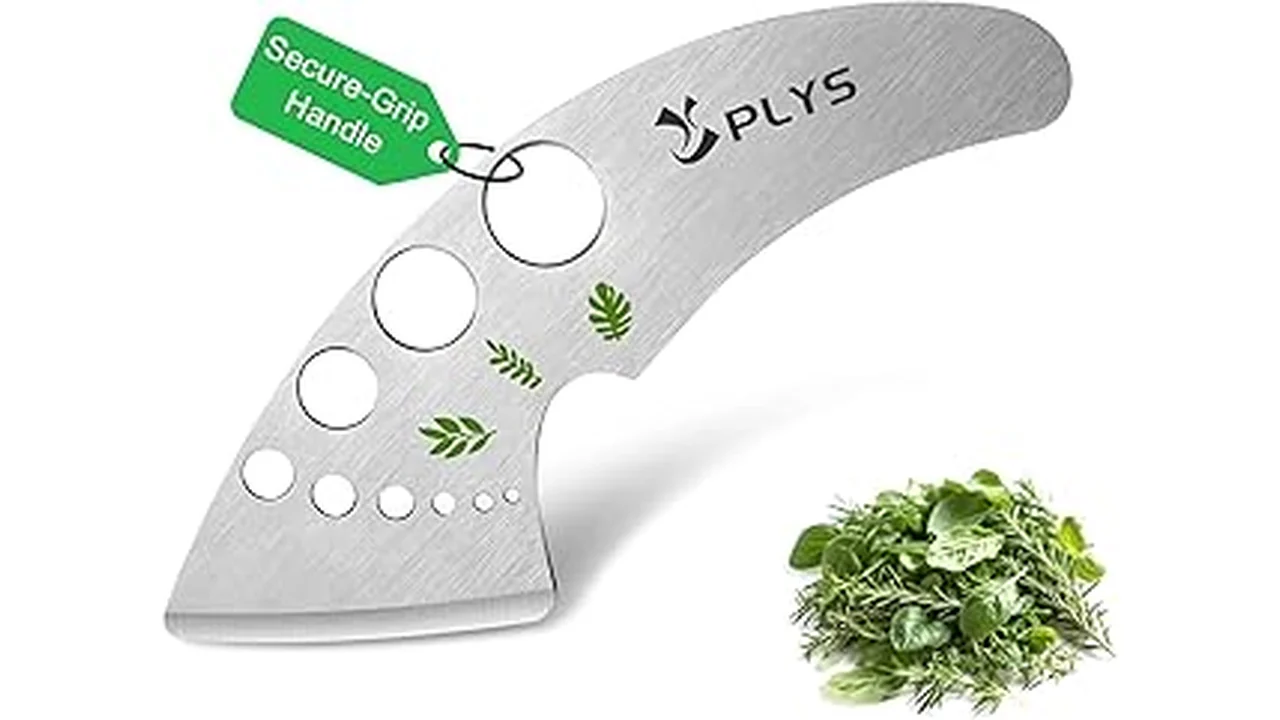 Best 31 Kitchen Tool