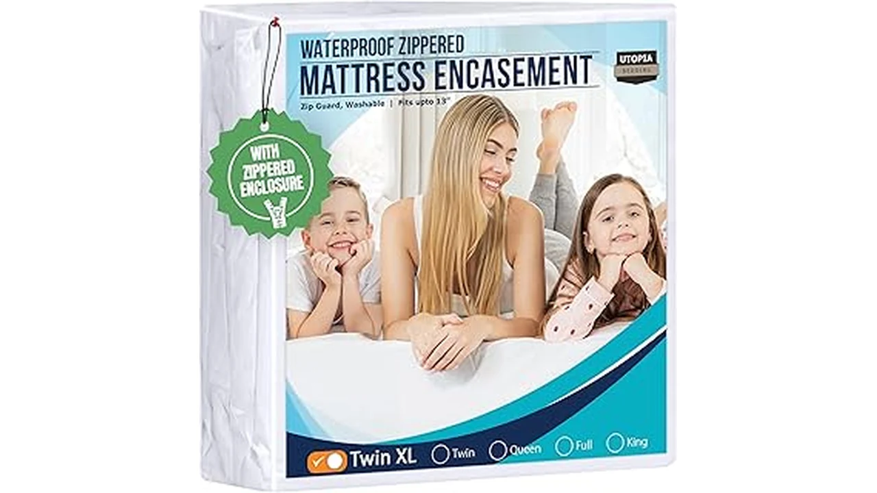 Best 31 Mattress Cover for Bed Bug