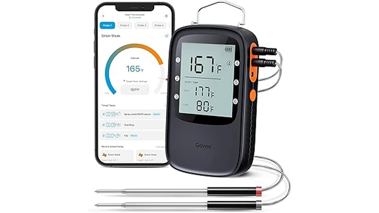 Best 31 Smoker Digital Thermometer