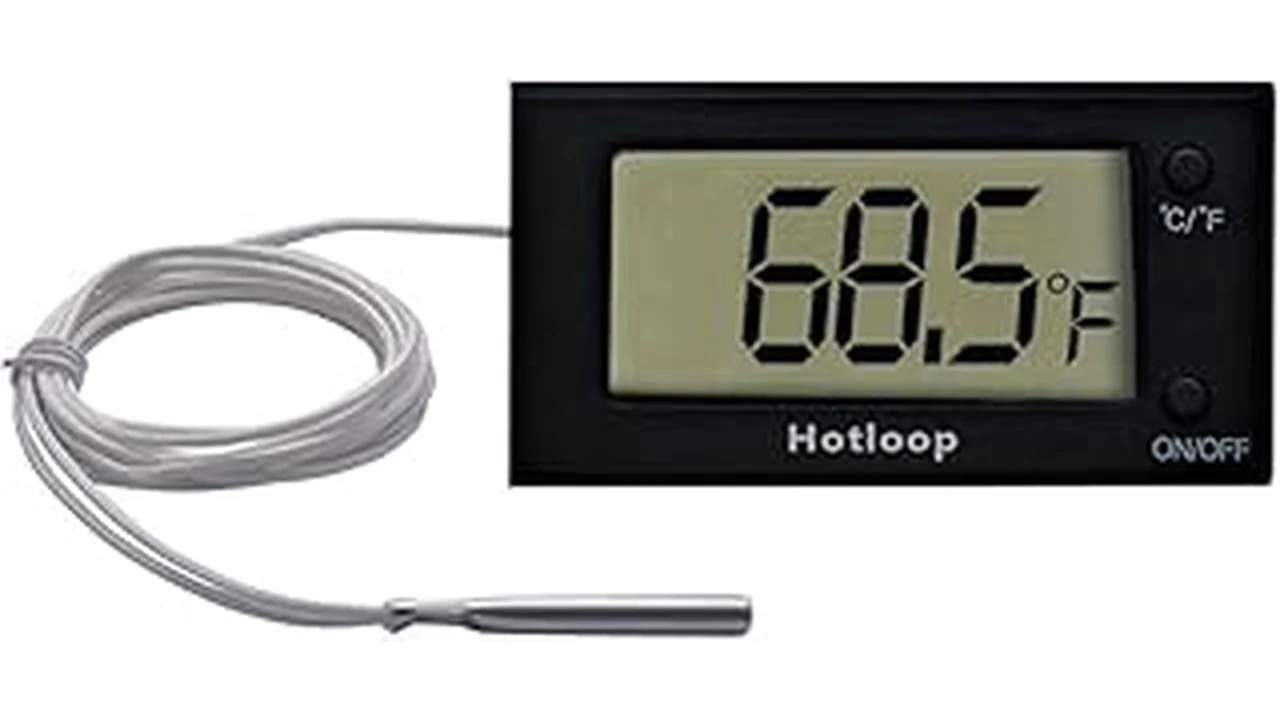 Best 31 Oven Temp for Salmon