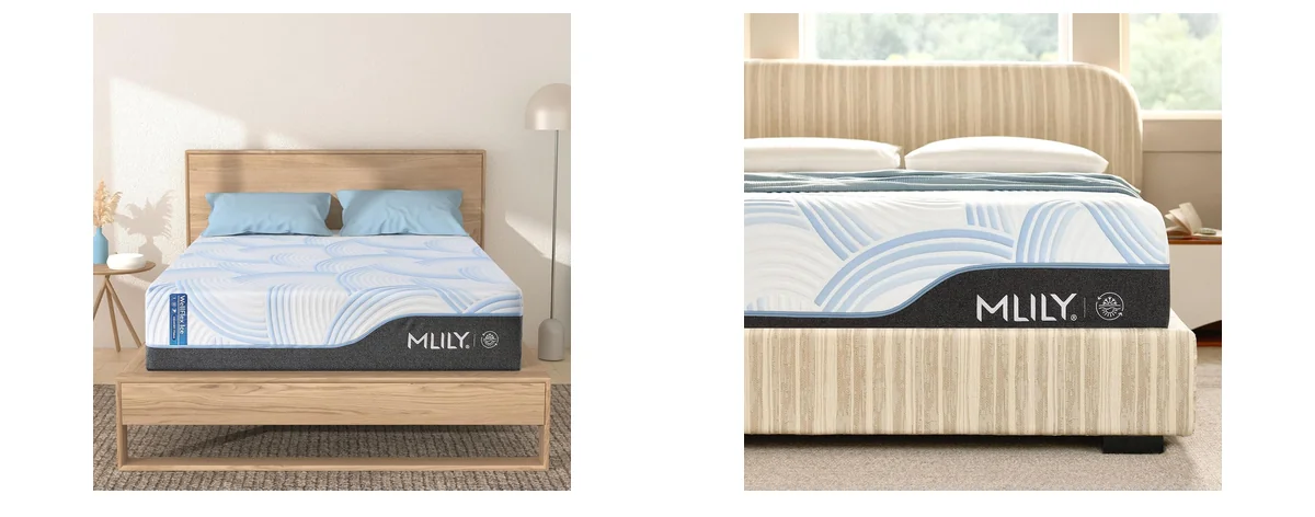 MLILY King (U.s. Standard) images