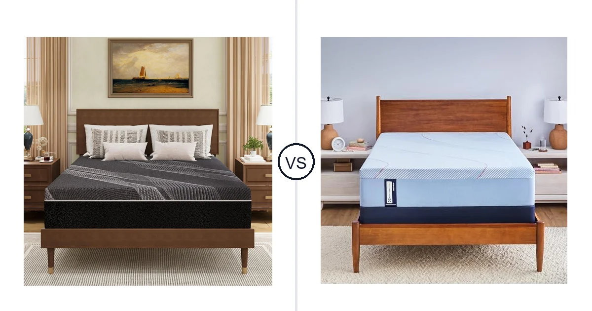 Dyonery Queen vs Sealy Queen: Which Should You Buy?