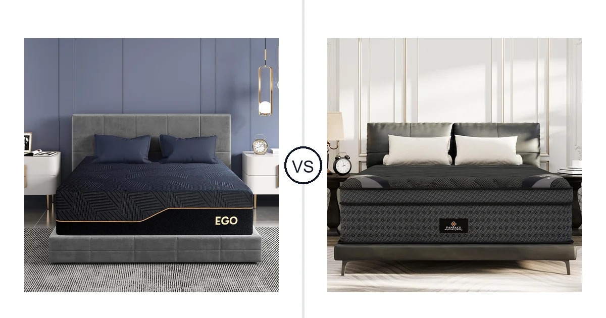 MLILY King vs FANSACE King: Which Should You Buy?