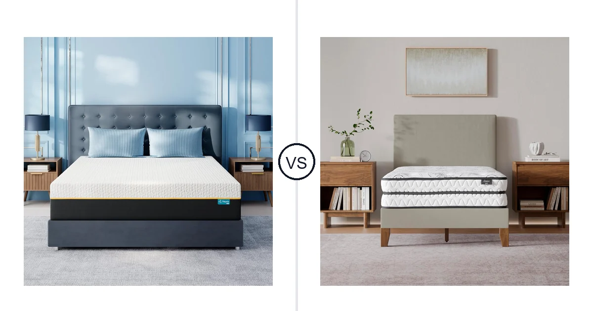 NAPSIE King vs Signature Design by Ashley: Mattress Comparison