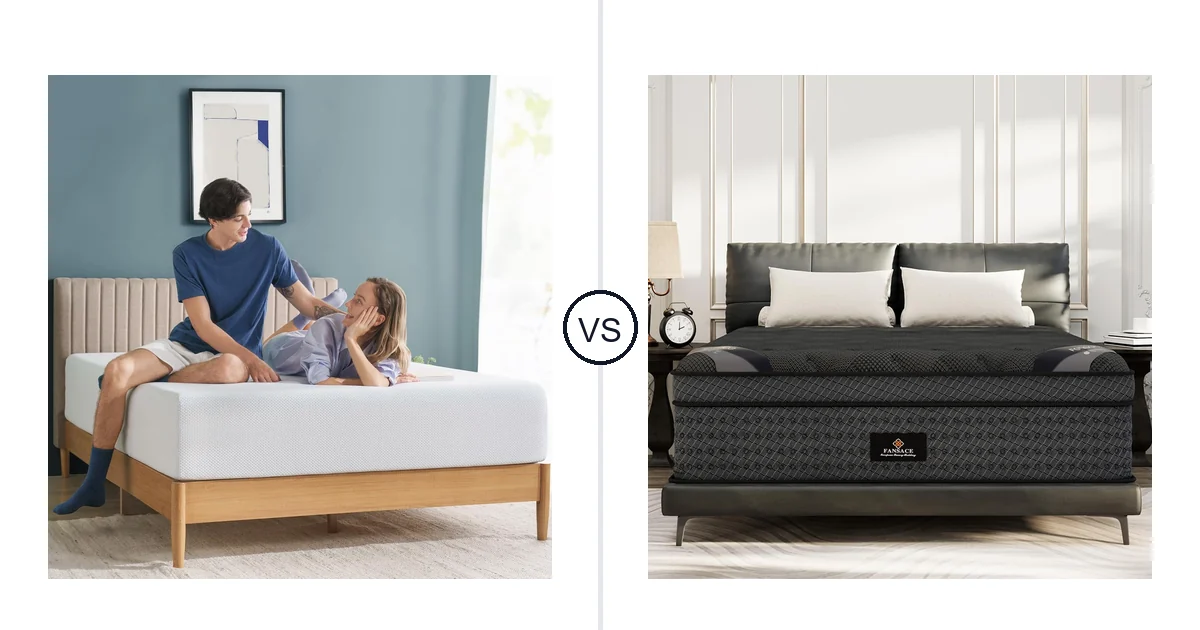 Zinus Queen vs FANSACE King: Which Should You Buy?