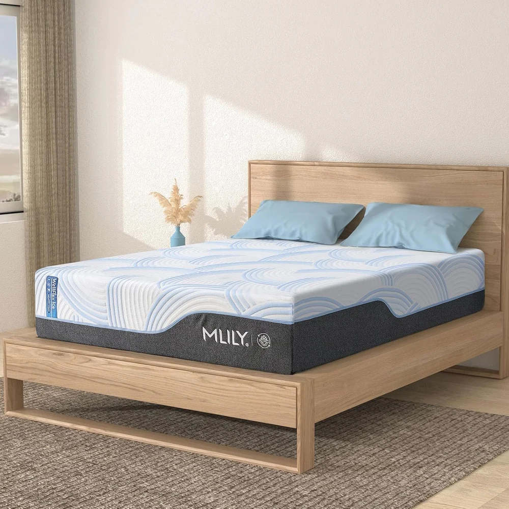 MLILY King (U.s. Standard)