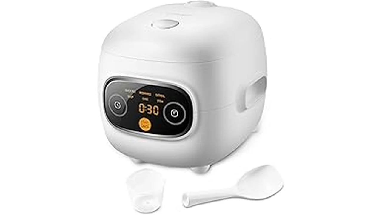 Best 16 Best Mini Cooker